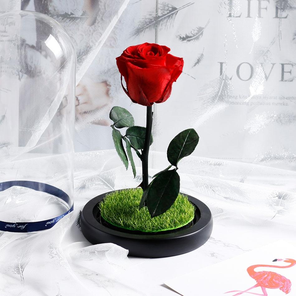 Immortal Enchanted Preserved Rose Glass Display w/Grass (4 Colors)