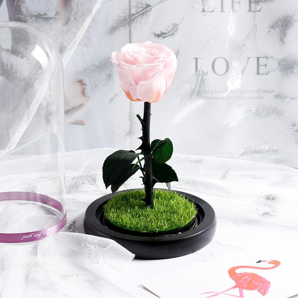 Immortal Enchanted Preserved Rose Glass Display w/Grass (4 Colors)