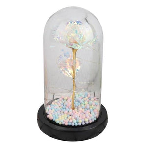 Rainbow Orbs Galaxy Enchanted Rose LED Glass Display (7 Designs)