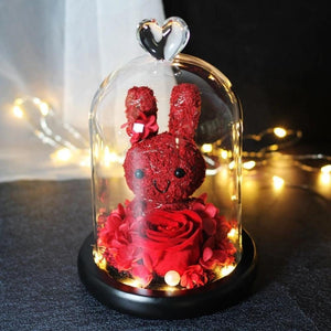 Immortal Preserved Rose Bunny Rabbit Glass LED Display (6 Designs)