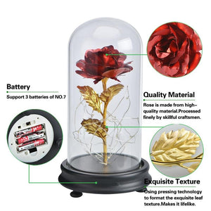 New Colors Galaxy Enchanted Rose LED Glass Display (5 Designs)