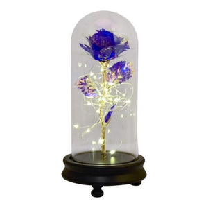 New Colors Galaxy Enchanted Rose LED Glass Display (5 Designs)