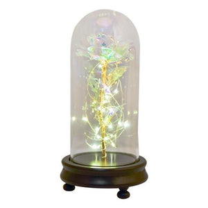 New Colors Galaxy Enchanted Rose LED Glass Display (5 Designs)