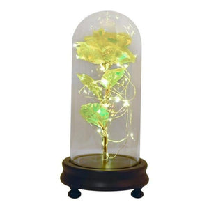 New Colors Galaxy Enchanted Rose LED Glass Display (5 Designs)