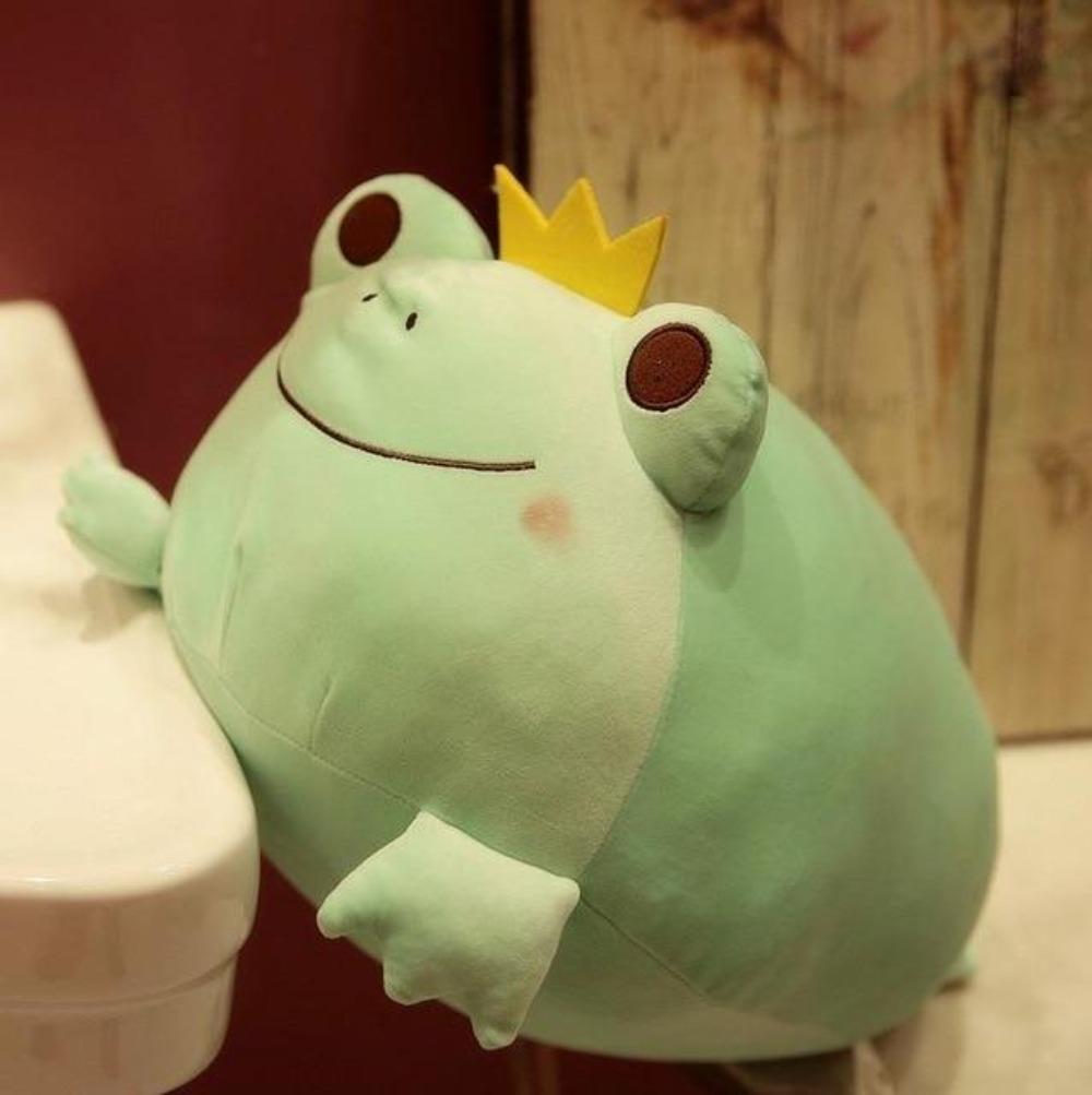 Royal Frog Pillow Plush 3D Stuffed Animal (Green, Pink or Kitty Cat)