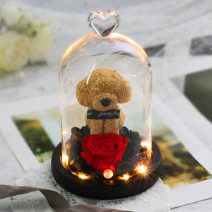 Immortal Preserved Rose Puppy Dog Glass LED Display (4 Colors)