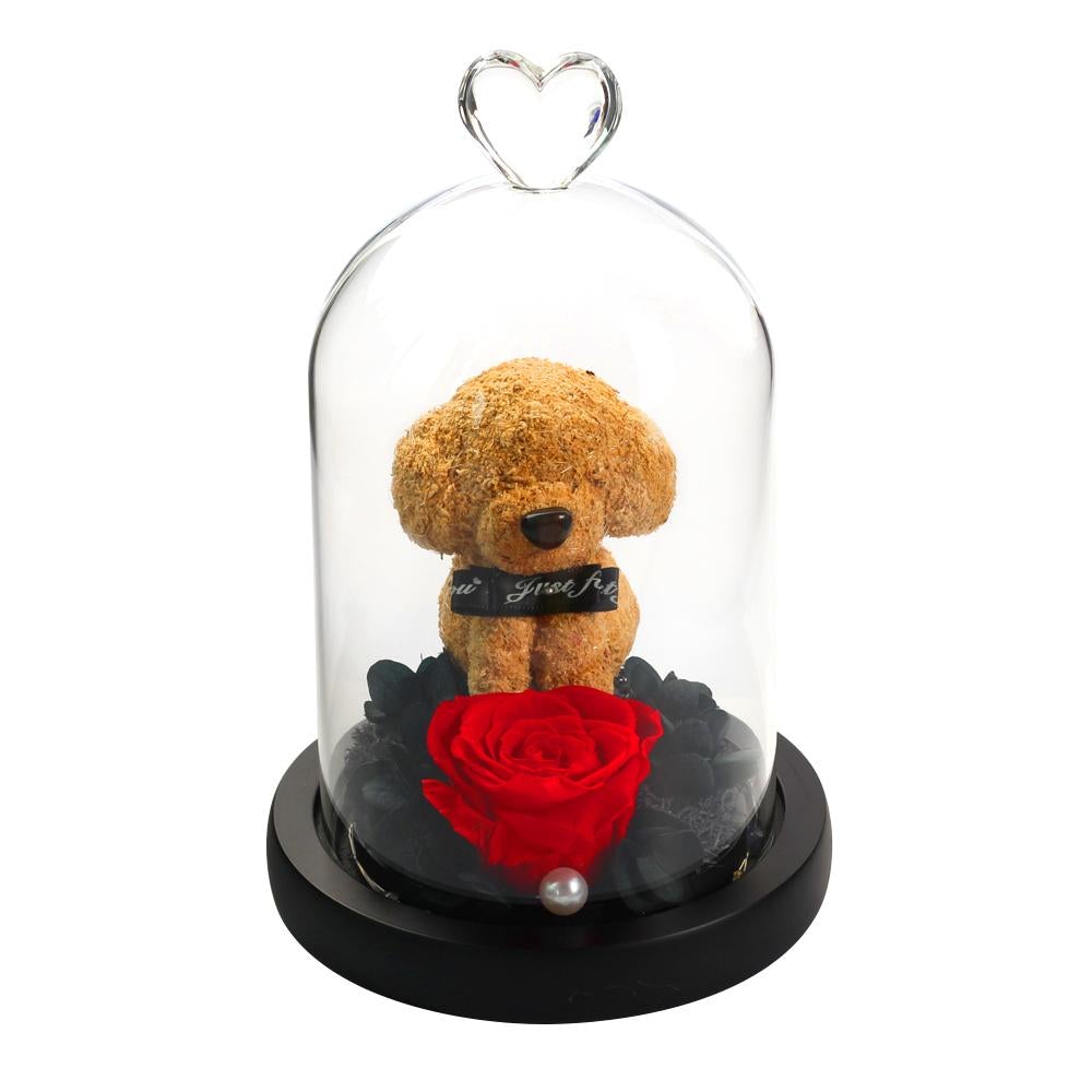Immortal Preserved Rose Puppy Dog Glass LED Display (4 Colors)