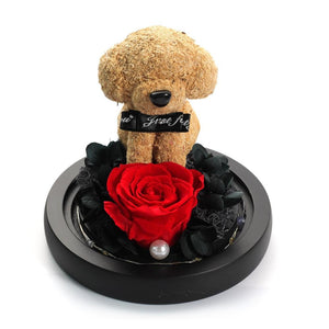 Immortal Preserved Rose Puppy Dog Glass LED Display (4 Colors)