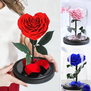 Heart Shaped Immortal Enchanted Preserved Rose Glass Display (3 Colors) 2 Sizes