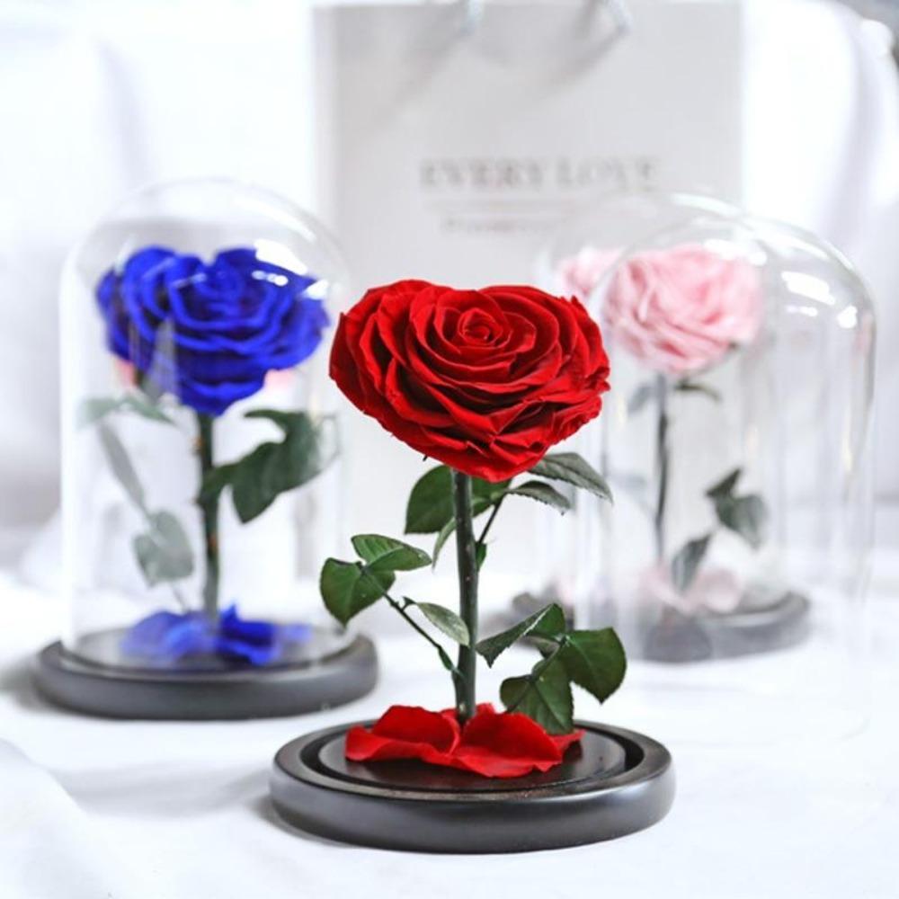 Heart Shaped Immortal Enchanted Preserved Rose Glass Display (3 Colors) 2 Sizes