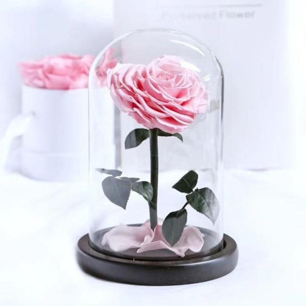 Heart Shaped Immortal Enchanted Preserved Rose Glass Display (3 Colors) 2 Sizes