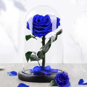 Heart Shaped Immortal Enchanted Preserved Rose Glass Display (3 Colors) 2 Sizes