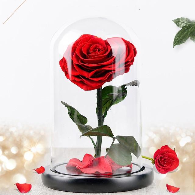 Heart Shaped Immortal Enchanted Preserved Rose Glass Display (3 Colors) 2 Sizes