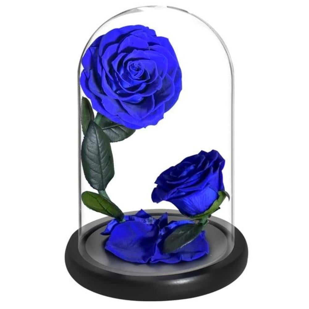 Double Head Immortal Enchanted Preserved Rose Glass Display (5 Colors)
