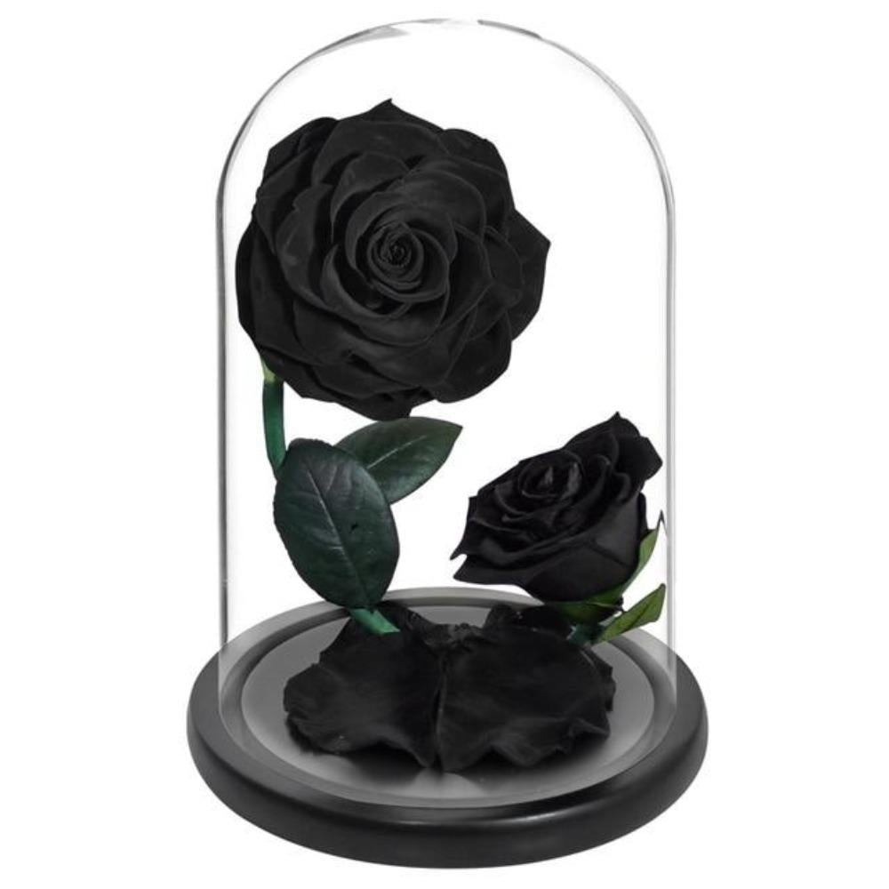 Double Head Immortal Enchanted Preserved Rose Glass Display (5 Colors)
