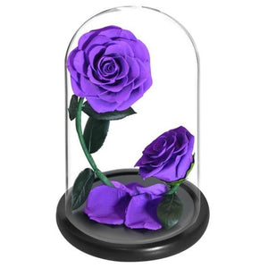 Double Head Immortal Enchanted Preserved Rose Glass Display (5 Colors)