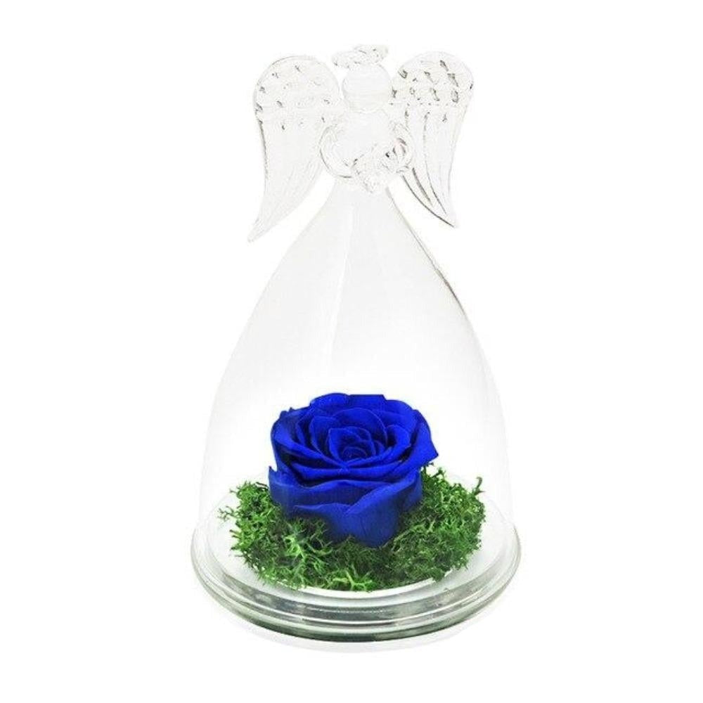 Guardian Angel Immortal Enchanted Preserved Rose Glass Display (12 Colors)