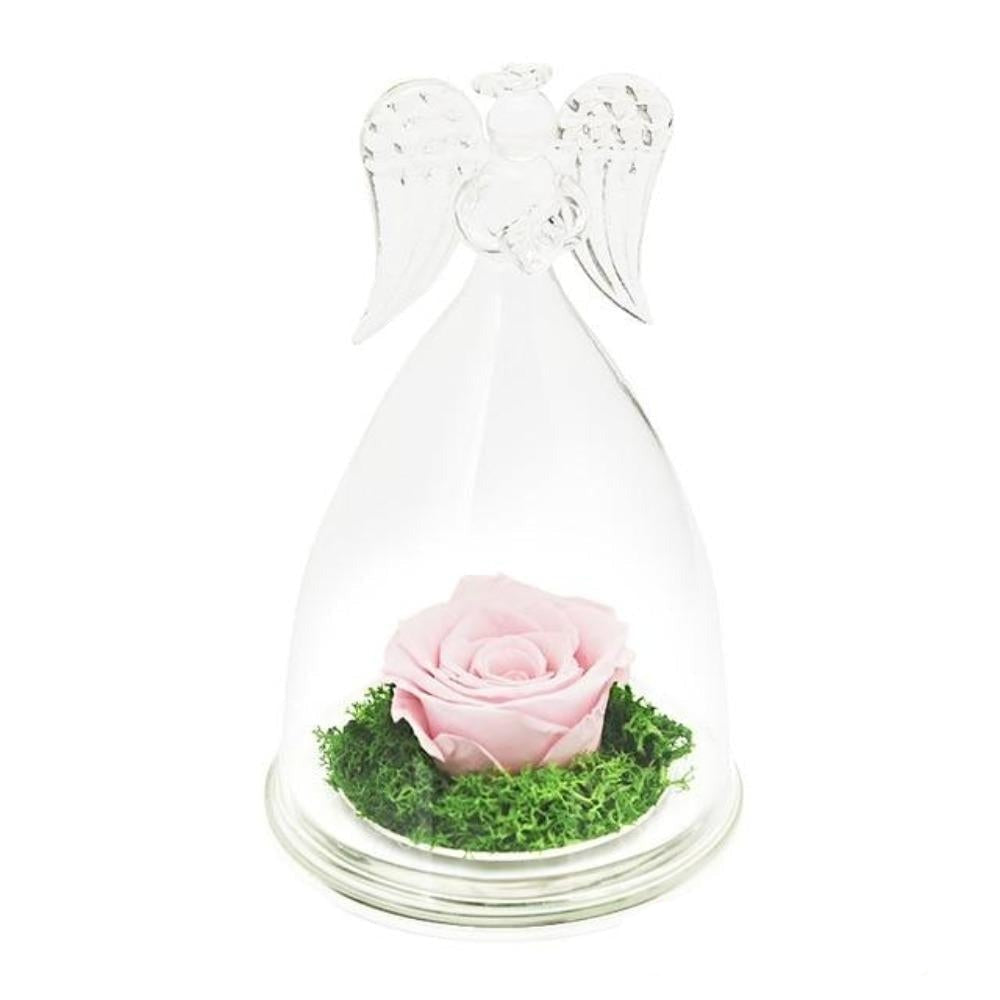 Guardian Angel Immortal Enchanted Preserved Rose Glass Display (12 Colors)