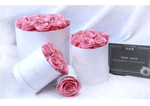 Luxurious Immortal Enchanted Preserved Rose In Round Gift Box (3 Sizes) 3 Colors White or Black Box