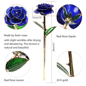 Preserved 24k Gold Long Stem Immortal Rose (3 Styles) 20 Variants NEW Colors 2022