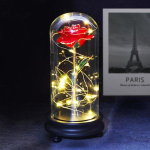 Preserved 24k Gold Long Stem Immortal Rose (3 Styles) 20 Variants NEW Colors 2022