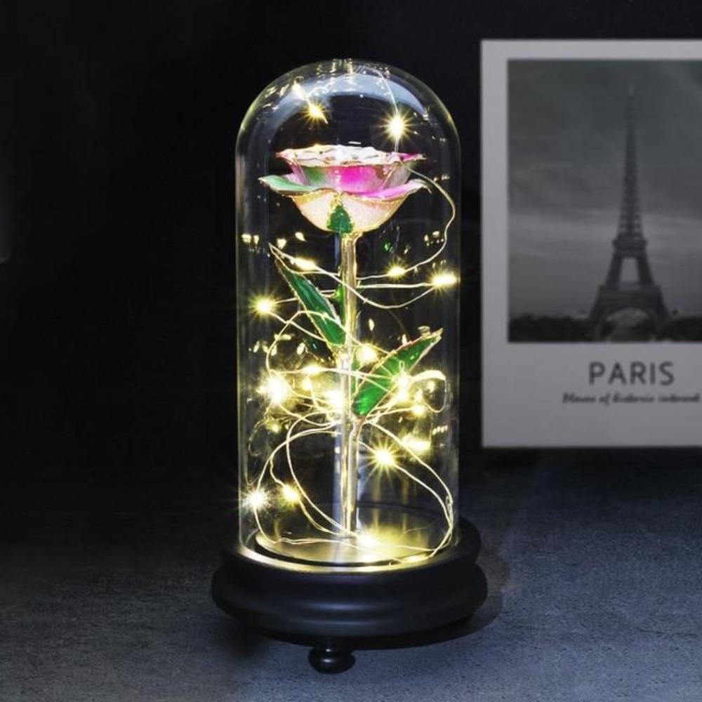 Preserved 24k Gold Long Stem Immortal Rose (3 Styles) 20 Variants NEW Colors 2022