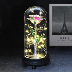 Preserved 24k Gold Long Stem Immortal Rose (3 Styles) 20 Variants NEW Colors 2022