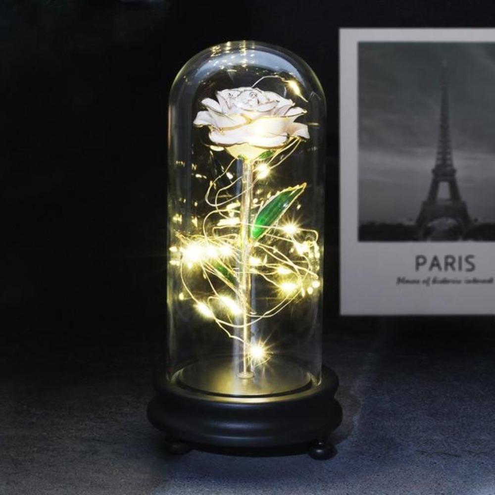Preserved 24k Gold Long Stem Immortal Rose (3 Styles) 20 Variants NEW Colors 2022