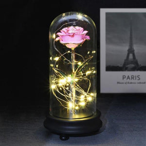 Preserved 24k Gold Long Stem Immortal Rose (3 Styles) 20 Variants NEW Colors 2022