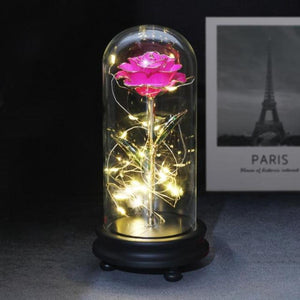 Preserved 24k Gold Long Stem Immortal Rose (3 Styles) 20 Variants NEW Colors 2022