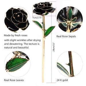 Preserved 24k Gold Long Stem Immortal Rose (3 Styles) 20 Variants NEW Colors 2022