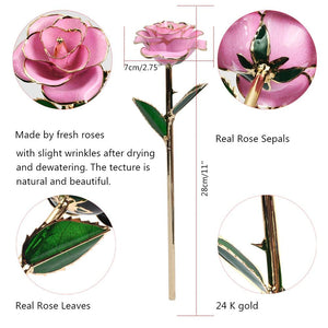 Preserved 24k Gold Long Stem Immortal Rose (3 Styles) 20 Variants NEW Colors 2022