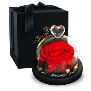 Limited Edition 2021 Immortal Enchanted Rose Glass Heart Dome (15 Colors) With Luxury Gift Box