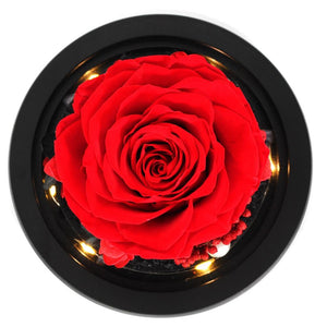 Limited Edition 2021 Immortal Enchanted Rose Glass Heart Dome (15 Colors) With Luxury Gift Box