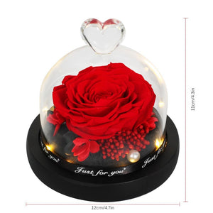 Limited Edition 2021 Immortal Enchanted Rose Glass Heart Dome (15 Colors) With Luxury Gift Box