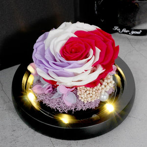 Limited Edition 2021 Immortal Enchanted Rose Glass Heart Dome (15 Colors) With Luxury Gift Box