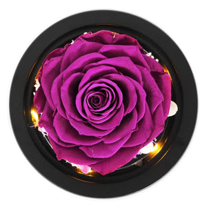Limited Edition 2021 Immortal Enchanted Rose Glass Heart Dome (15 Colors) With Luxury Gift Box
