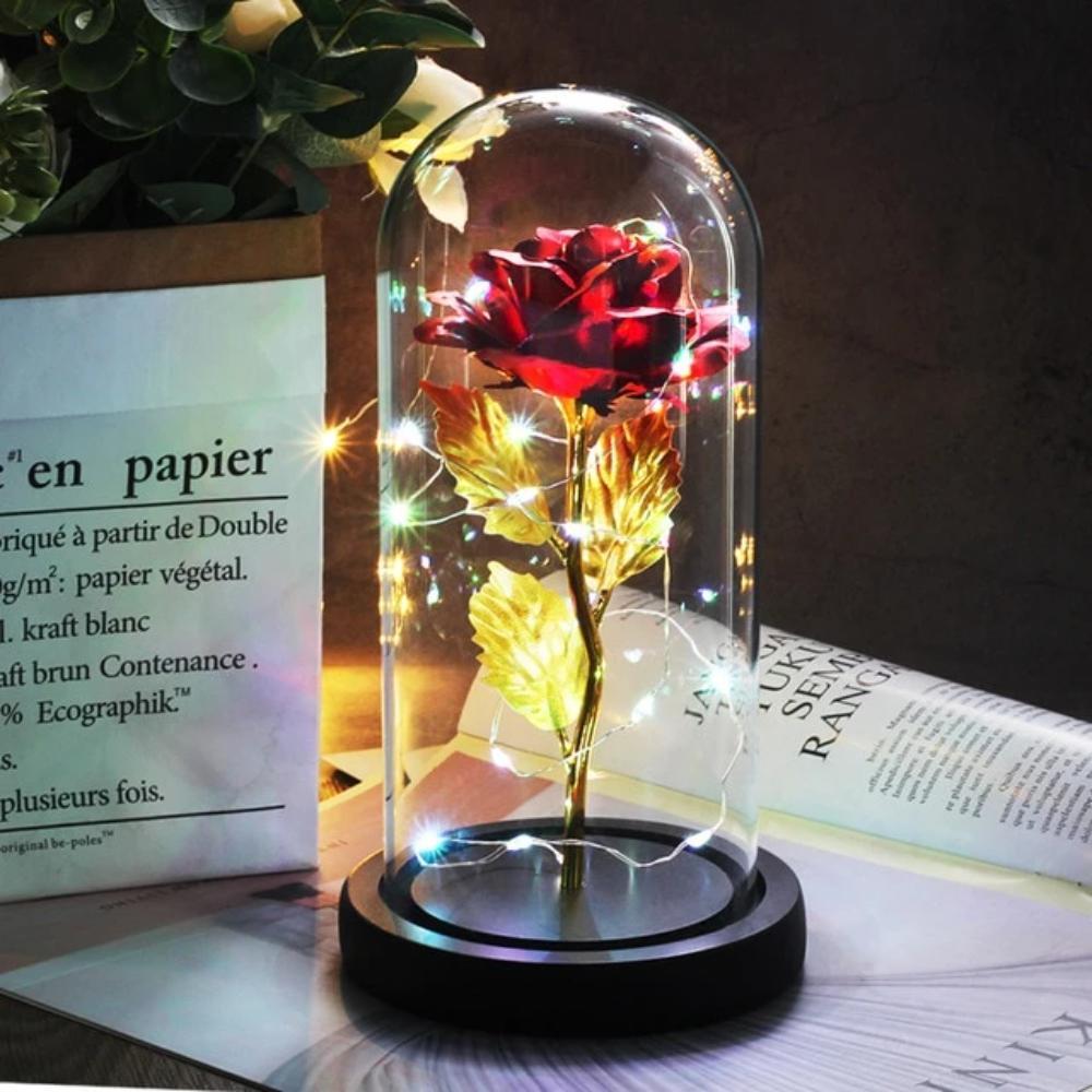 Mother & Child Father & Child Galaxy Enchanted Rose LED Glass Display (34 Designs)