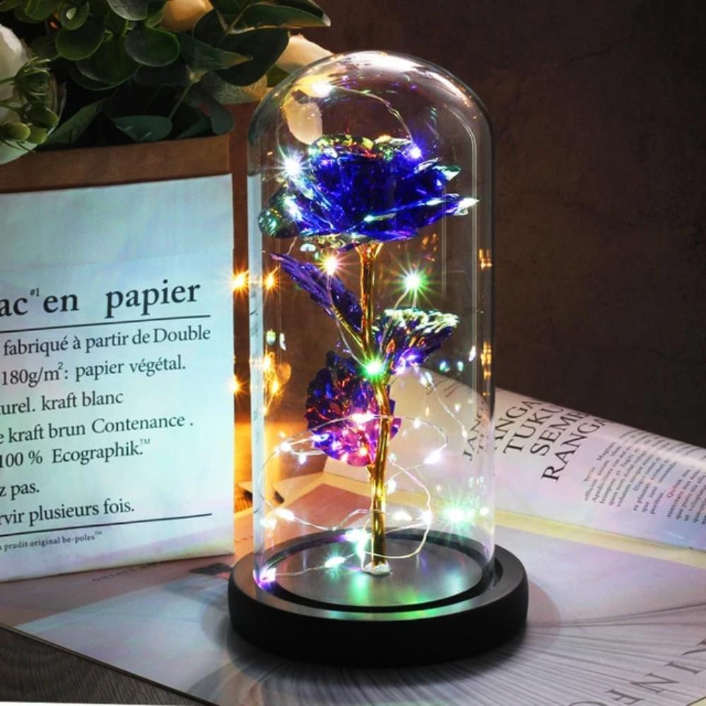 Mother & Child Father & Child Galaxy Enchanted Rose LED Glass Display (34 Designs)