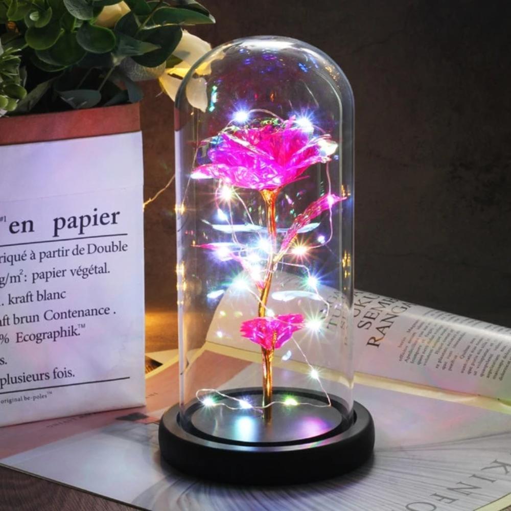 Mother & Child Father & Child Galaxy Enchanted Rose LED Glass Display (34 Designs)