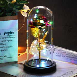 Mother & Child Father & Child Galaxy Enchanted Rose LED Glass Display (34 Designs)