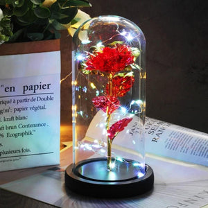 Mother & Child Father & Child Galaxy Enchanted Rose LED Glass Display (34 Designs)