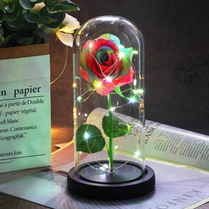 Mother & Child Father & Child Galaxy Enchanted Rose LED Glass Display (34 Designs)