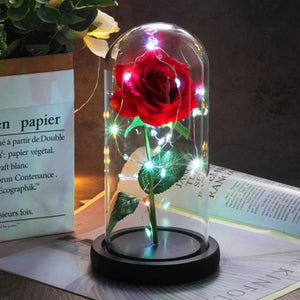 Mother & Child Father & Child Galaxy Enchanted Rose LED Glass Display (34 Designs)