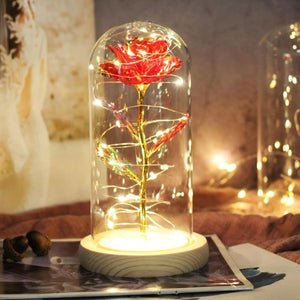 Mother & Child Father & Child Galaxy Enchanted Rose LED Glass Display (34 Designs)