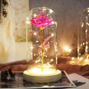 Mother & Child Father & Child Galaxy Enchanted Rose LED Glass Display (34 Designs)