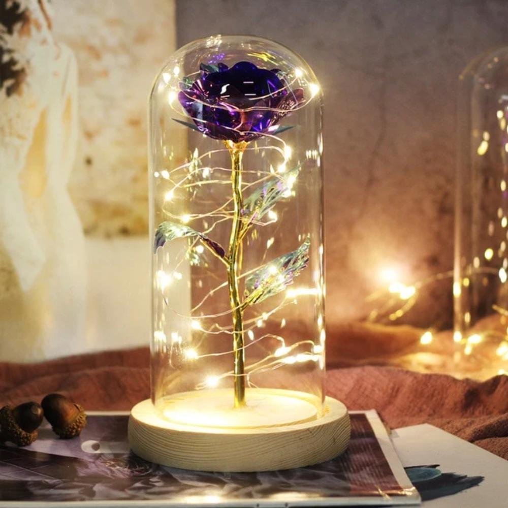 Mother & Child Father & Child Galaxy Enchanted Rose LED Glass Display (34 Designs)