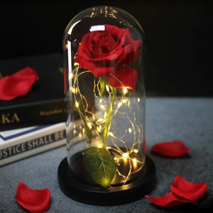 Mother & Child Father & Child Galaxy Enchanted Rose LED Glass Display (34 Designs)