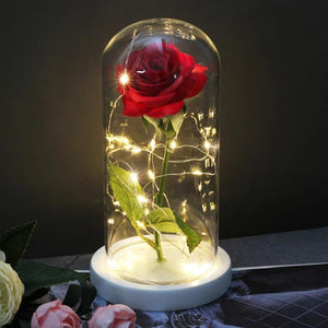 Mother & Child Father & Child Galaxy Enchanted Rose LED Glass Display (34 Designs)