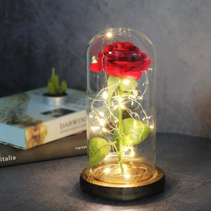 Mother & Child Father & Child Galaxy Enchanted Rose LED Glass Display (34 Designs)